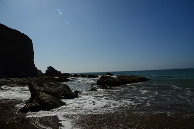 DSC_2561 (Large).JPG